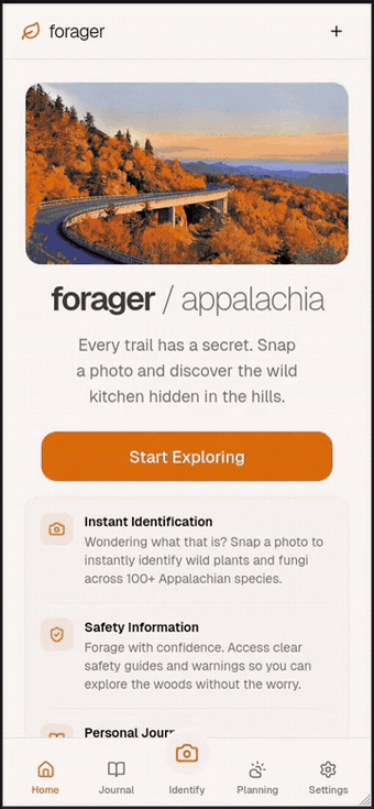 Forager identifying a wild mushroom: species, safety verdict, nutrition, and model heatmap